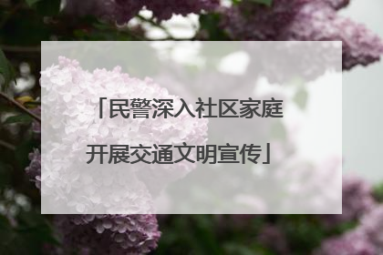 民警深入社区家庭开展交通文明宣传
