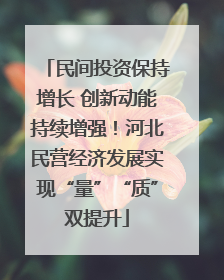 民间投资保持增长 创新动能持续增强！河北民营经济发展实现“量”“质”双提升