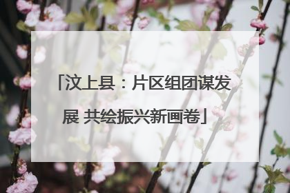 汶上县：片区组团谋发展 共绘振兴新画卷