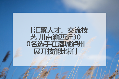 汇聚人才、交流技艺 川南渝西近300名选手在酒城泸州展开技能比拼