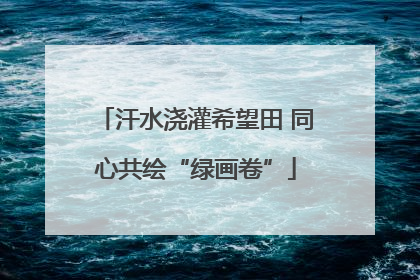 汗水浇灌希望田 同心共绘“绿画卷”
