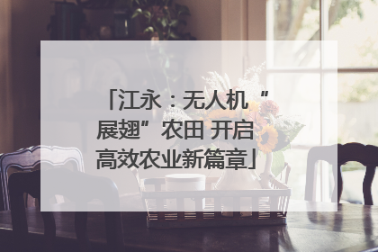 江永：无人机“展翅”农田 开启高效农业新篇章