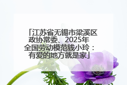 江苏省无锡市梁溪区政协常委、2025年全国劳动模范钱小玲：有爱的地方就是家