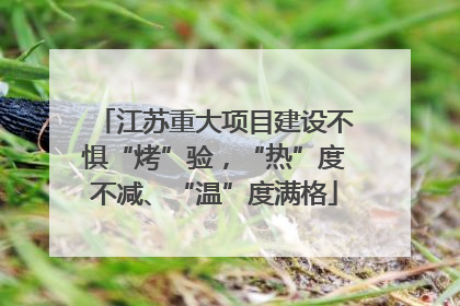 江苏重大项目建设不惧“烤”验，“热”度不减、“温”度满格
