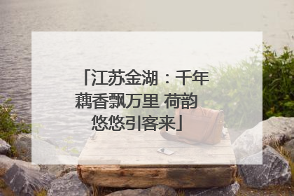 江苏金湖：千年藕香飘万里 荷韵悠悠引客来
