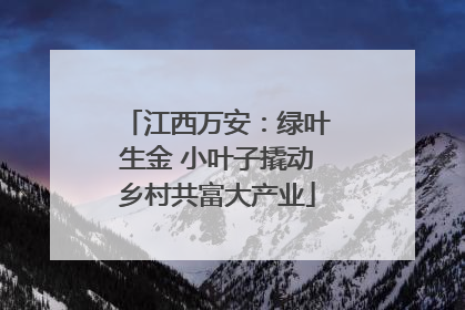 江西万安：绿叶生金 小叶子撬动乡村共富大产业