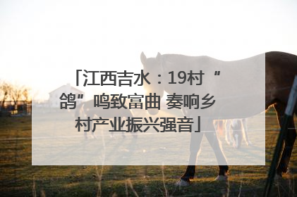 江西吉水：19村“鸽”鸣致富曲 奏响乡村产业振兴强音