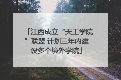 江西成立“天工学院”联盟 计划三年内建设多个境外学院