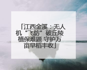 江西金溪：无人机“飞防”破丘陵植保难题 守护万亩早稻丰收