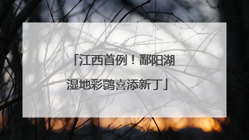 江西首例！鄱阳湖湿地彩鹮喜添新丁
