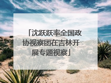 沈跃跃率全国政协视察团在吉林开展专题视察