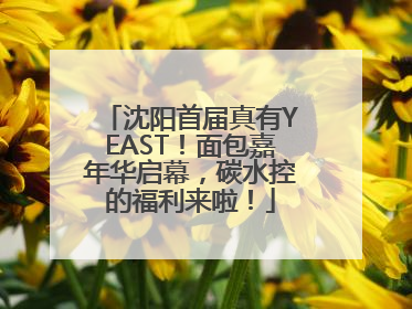 沈阳首届真有YEAST！面包嘉年华启幕，碳水控的福利来啦！