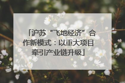 沪苏“飞地经济”合作新模式：以重大项目牵引产业链升级