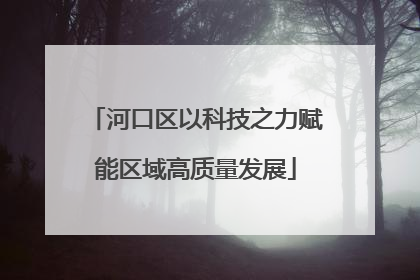 河口区以科技之力赋能区域高质量发展