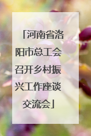 河南省洛阳市总工会召开乡村振兴工作座谈交流会
