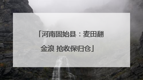 河南固始县：麦田翻金浪 抢收保归仓