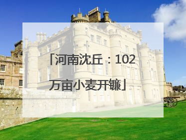 河南沈丘：102 万亩小麦开镰