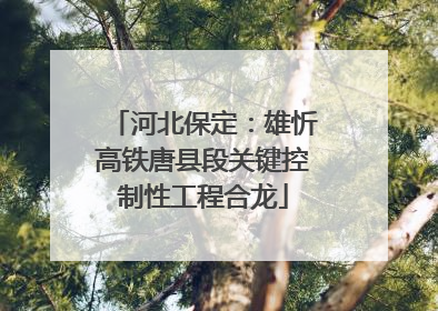 河北保定：雄忻高铁唐县段关键控制性工程合龙