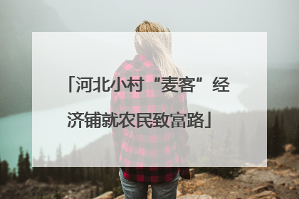 河北小村“麦客”经济铺就农民致富路