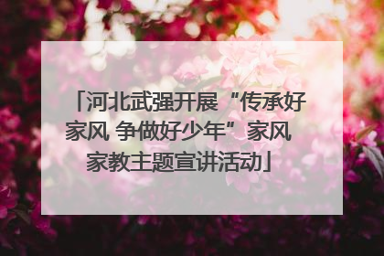 河北武强开展“传承好家风 争做好少年”家风家教主题宣讲活动