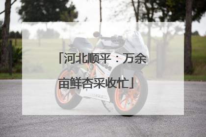 河北顺平：万余亩鲜杏采收忙