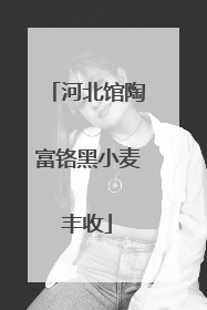河北馆陶富铬黑小麦丰收
