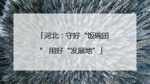 河北：守好“饭碗田” 用好“发展地”