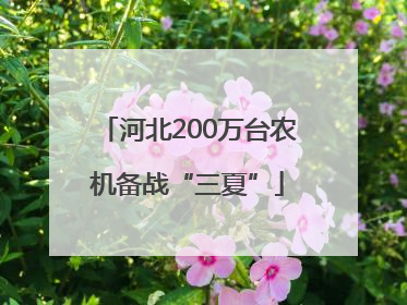 河北200万台农机备战“三夏”