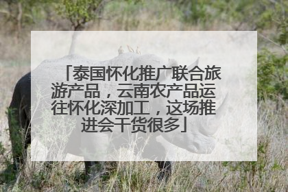泰国怀化推广联合旅游产品，云南农产品运往怀化深加工，这场推进会干货很多