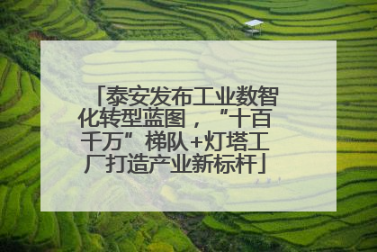 泰安发布工业数智化转型蓝图，“十百千万”梯队+灯塔工厂打造产业新标杆