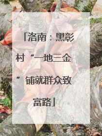 洛南：黑彰村“一地三金”铺就群众致富路