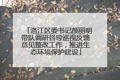 洛江区委书记颜丽明带队调研督导巡视反馈意见整改工作，推进生态环境保护建设