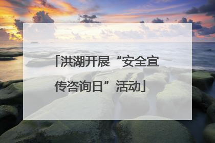 洪湖开展“安全宣传咨询日”活动
