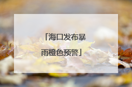 海口发布暴雨橙色预警