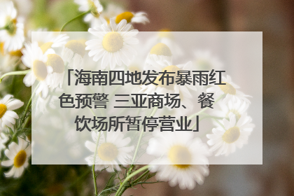 海南四地发布暴雨红色预警 三亚商场、餐饮场所暂停营业