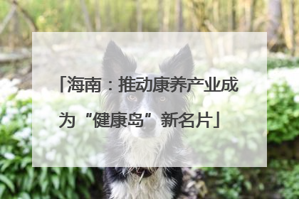海南：推动康养产业成为“健康岛”新名片