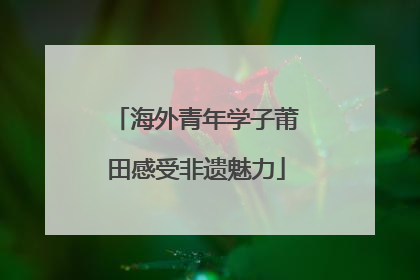 海外青年学子莆田感受非遗魅力