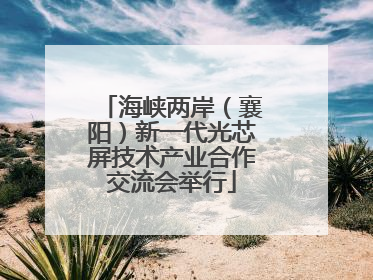 海峡两岸（襄阳）新一代光芯屏技术产业合作交流会举行