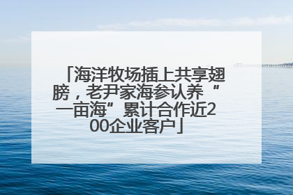 海洋牧场插上共享翅膀，老尹家海参认养“一亩海”累计合作近200企业客户