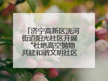 济宁高新区洸河街道阳光社区开展“杜绝高空抛物 共建和谐文明社区”宣传活动