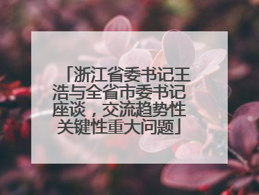 浙江省委书记王浩与全省市委书记座谈，交流趋势性关键性重大问题