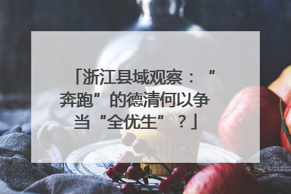 浙江县域观察：“奔跑”的德清何以争当“全优生”？