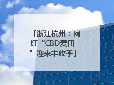 浙江杭州：网红“CBD麦田”迎来丰收季