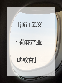 浙江武义：荷花产业助致富