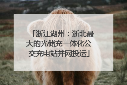 浙江湖州：浙北最大的光储充一体化公交充电站并网投运