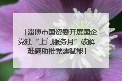 淄博市国资委开展国企党建“上门服务月”破解难题助推党建赋能