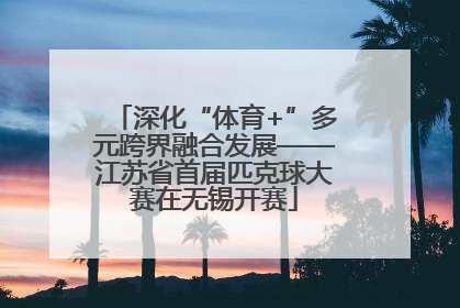 深化“体育+”多元跨界融合发展——江苏省首届匹克球大赛在无锡开赛