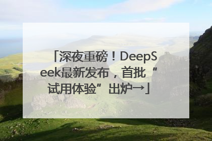 深夜重磅！DeepSeek最新发布，首批“试用体验”出炉→