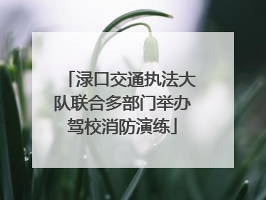 渌口交通执法大队联合多部门举办驾校消防演练