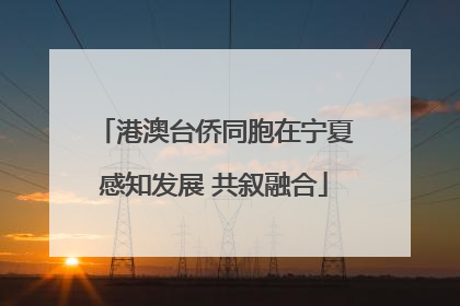 港澳台侨同胞在宁夏感知发展 共叙融合